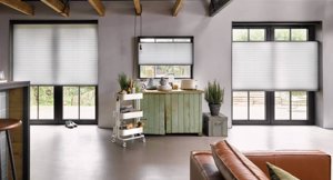 DS 1719 1572X1038 Acf Cropped 1572X1038 Acf Cropped